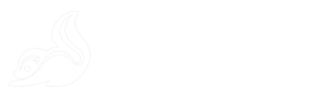 AI Skunkworks, LLC